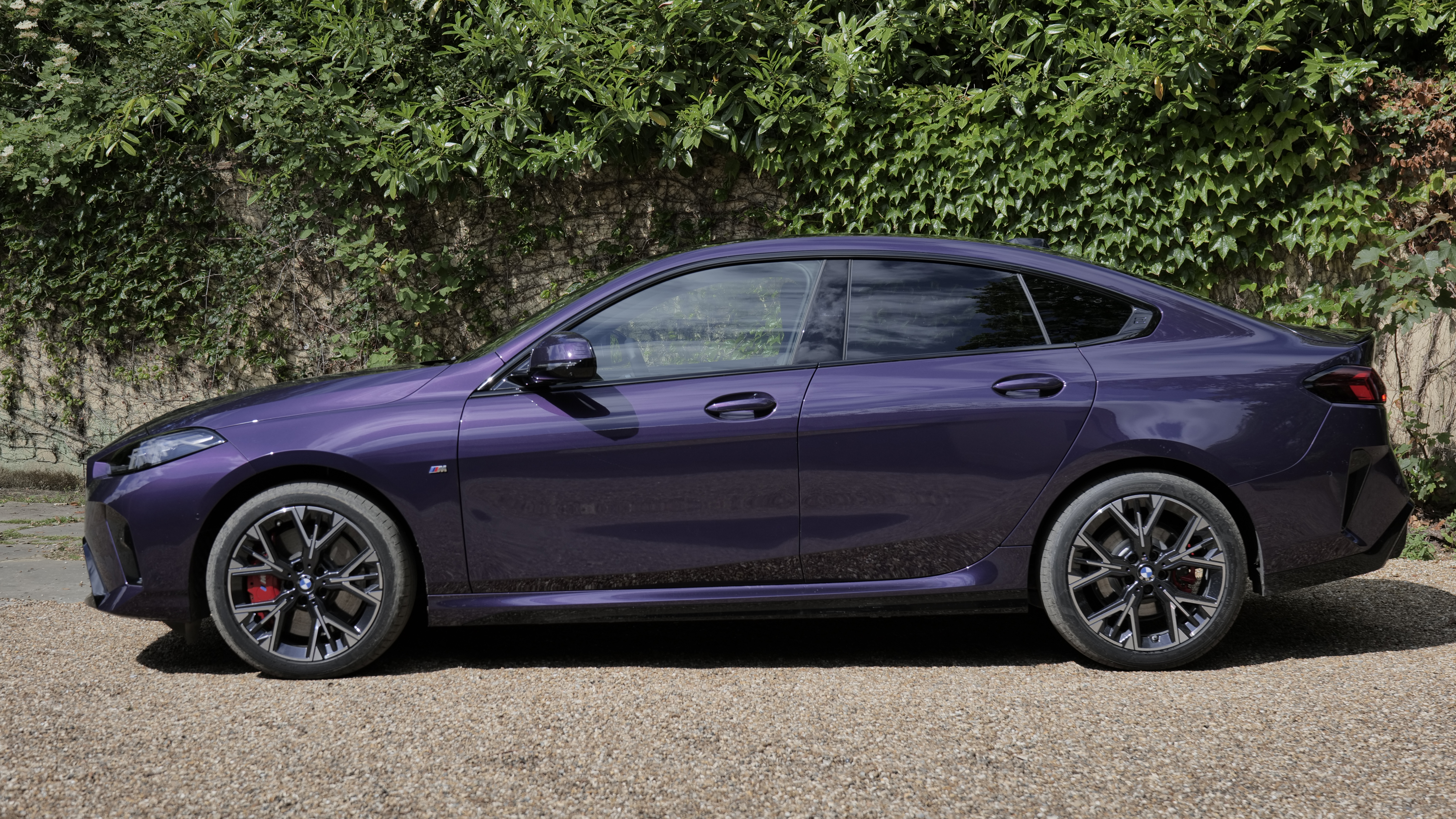 BMW 2 SERIES GRAN COUPE 220 M Sport Pro 4dr Step Auto